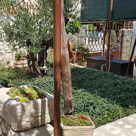 Radmilo * Τρογκίρ
