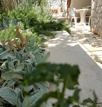 Radmilo * Τρογκίρ